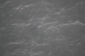 Missing Picture